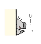 チワプーのふうか 日常スタンプ（個別スタンプ：9）