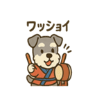 お祭りシュナの夏だより（個別スタンプ：1）