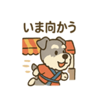 お祭りシュナの夏だより（個別スタンプ：2）