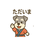 お祭りシュナの夏だより（個別スタンプ：3）