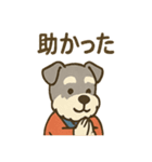 お祭りシュナの夏だより（個別スタンプ：8）