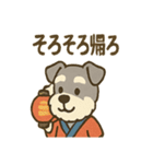 お祭りシュナの夏だより（個別スタンプ：10）