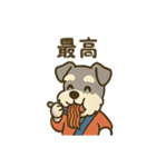 お祭りシュナの夏だより（個別スタンプ：13）