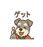 お祭りシュナの夏だより（個別スタンプ：17）