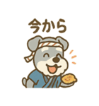お祭りシュナの夏だより（個別スタンプ：21）