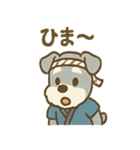 お祭りシュナの夏だより（個別スタンプ：23）