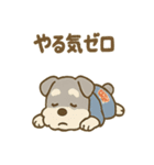 お祭りシュナの夏だより（個別スタンプ：40）