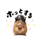 かわちい！まるめがねハム星（個別スタンプ：21）