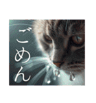 猫好きに送る おしゃれなスタンプ（個別スタンプ：2）