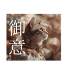 猫好きに送る おしゃれなスタンプ（個別スタンプ：3）