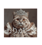 猫好きに送る おしゃれなスタンプ（個別スタンプ：5）