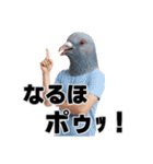 はとポゥポゥッッ！スタンプだにょす（個別スタンプ：8）