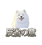 犬味 素人へ（個別スタンプ：2）