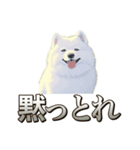 犬味 素人へ（個別スタンプ：3）
