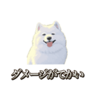 犬味 素人へ（個別スタンプ：8）