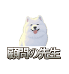 犬味 素人へ（個別スタンプ：15）