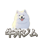 犬味 素人へ（個別スタンプ：17）