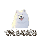犬味 素人へ（個別スタンプ：18）