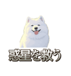犬味 素人へ（個別スタンプ：24）