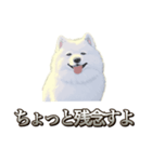 犬味 素人へ（個別スタンプ：26）