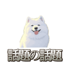 犬味 素人へ（個別スタンプ：29）