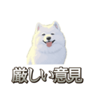 犬味 素人へ（個別スタンプ：32）
