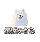 犬味 素人へ（個別スタンプ：35）