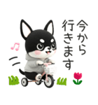 3D・ブラックタン・チワワ〜可愛い〜（個別スタンプ：11）