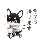 3D・ブラックタン・チワワ〜可愛い〜（個別スタンプ：12）