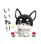 3D・ブラックタン・チワワ〜可愛い〜（個別スタンプ：19）