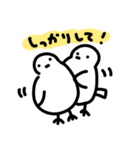 しろいとりみたいなヤツ〜可愛い楽しい鳥〜（個別スタンプ：19）