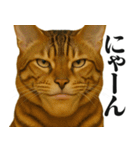 圧の強いミューイング猫（個別スタンプ：7）