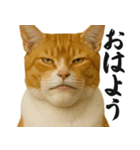 圧の強いミューイング猫（個別スタンプ：9）