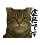 圧の強いミューイング猫（個別スタンプ：32）