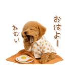 ネガティブな癒しトイプードル茶（個別スタンプ：1）