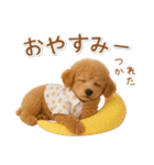 ネガティブな癒しトイプードル茶（個別スタンプ：2）