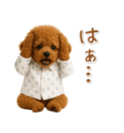 ネガティブな癒しトイプードル茶（個別スタンプ：6）