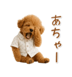 ネガティブな癒しトイプードル茶（個別スタンプ：7）