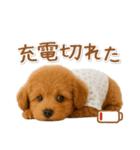 ネガティブな癒しトイプードル茶（個別スタンプ：8）