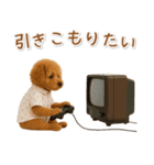 ネガティブな癒しトイプードル茶（個別スタンプ：9）