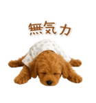 ネガティブな癒しトイプードル茶（個別スタンプ：23）