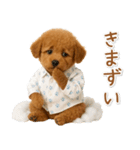 ネガティブな癒しトイプードル茶（個別スタンプ：24）