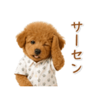 ネガティブな癒しトイプードル茶（個別スタンプ：25）