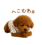 ネガティブな癒しトイプードル茶（個別スタンプ：27）