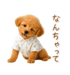 ネガティブな癒しトイプードル茶（個別スタンプ：29）