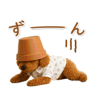 ネガティブな癒しトイプードル茶（個別スタンプ：31）