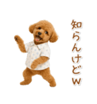 ネガティブな癒しトイプードル茶（個別スタンプ：34）