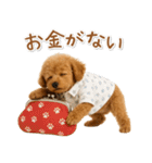 ネガティブな癒しトイプードル茶（個別スタンプ：36）