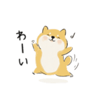 ゆるかわ柴犬の日常で使えるスタンプ（個別スタンプ：1）