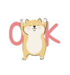 ゆるかわ柴犬の日常で使えるスタンプ（個別スタンプ：3）